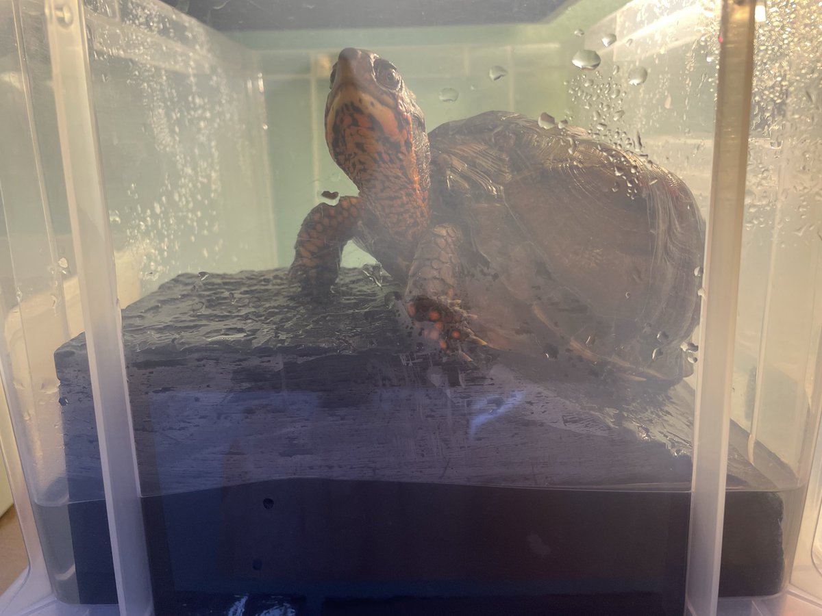 KEN☆○★ tweet media