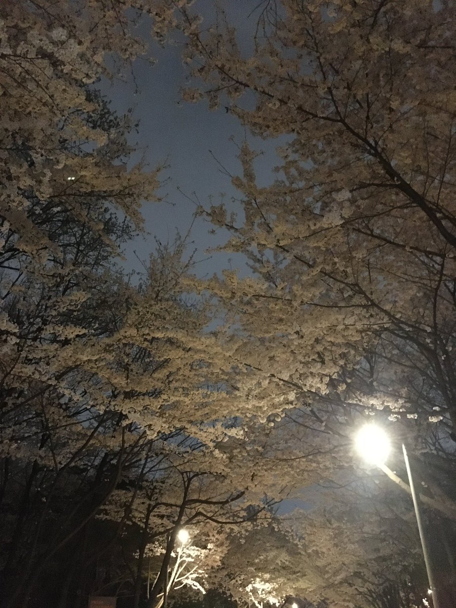 쉐이SHAY tweet media