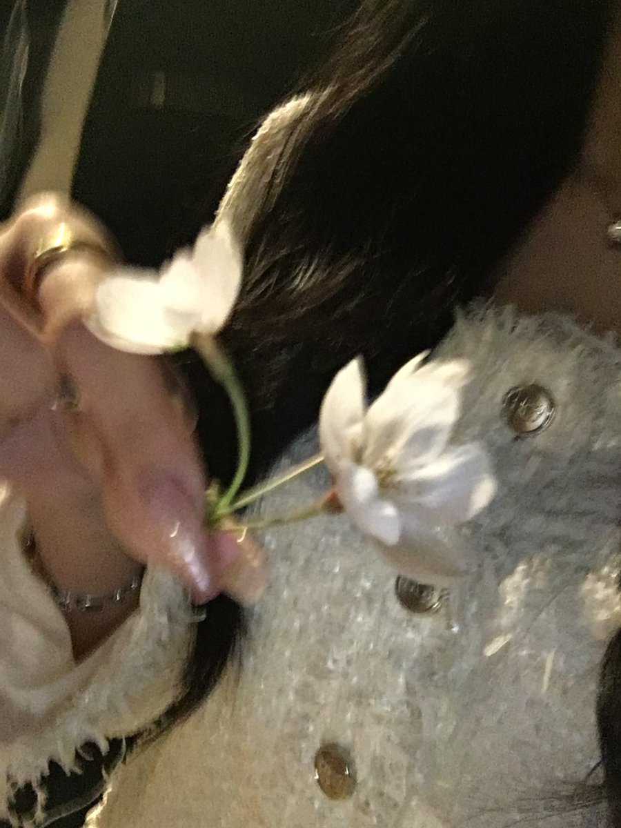 쉐이SHAY tweet media