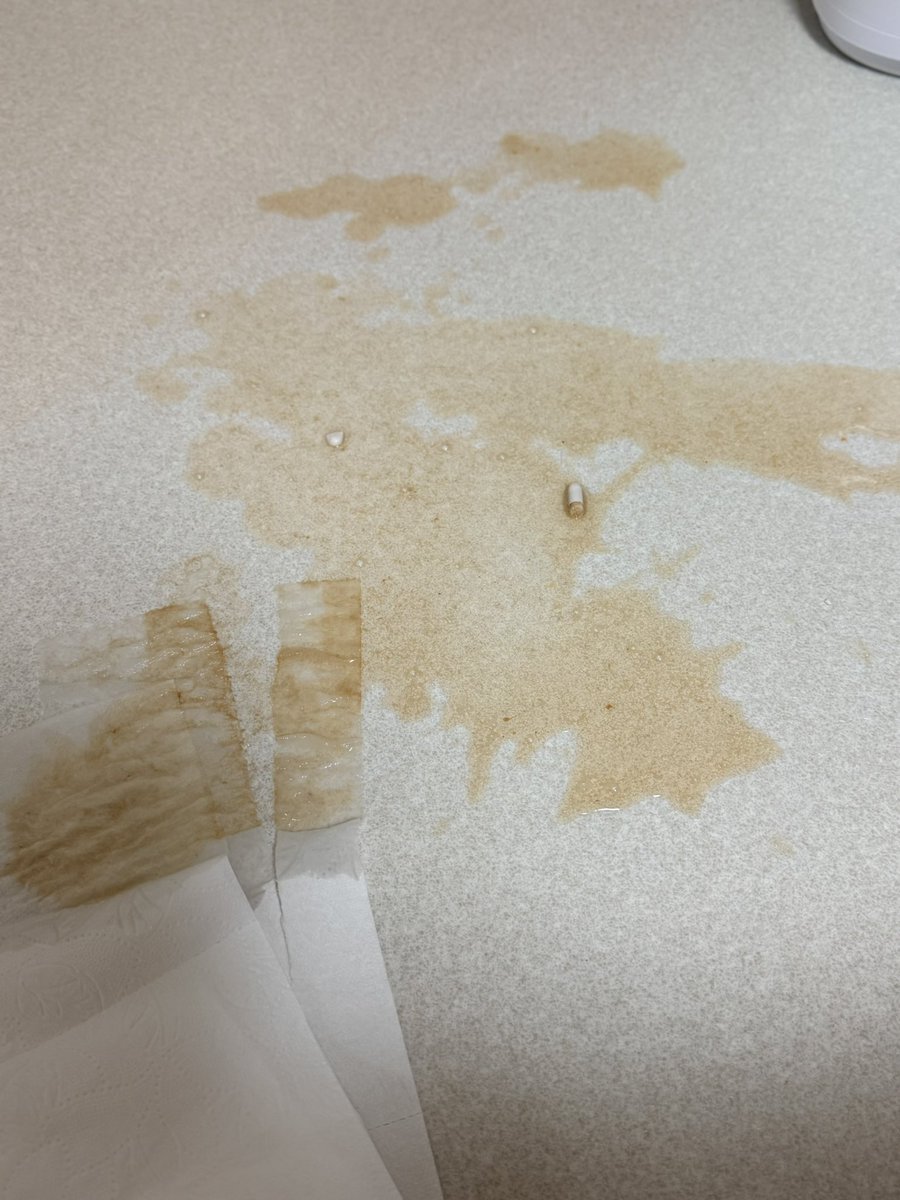 꽃하준🍭 tweet media