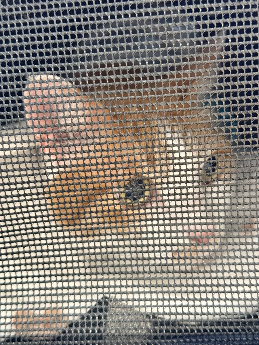 꽃하준🍭 tweet media