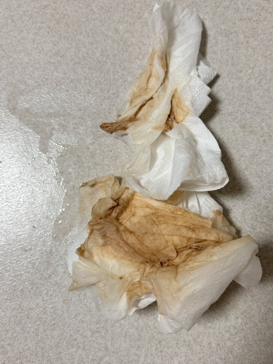 꽃하준🍭 tweet media