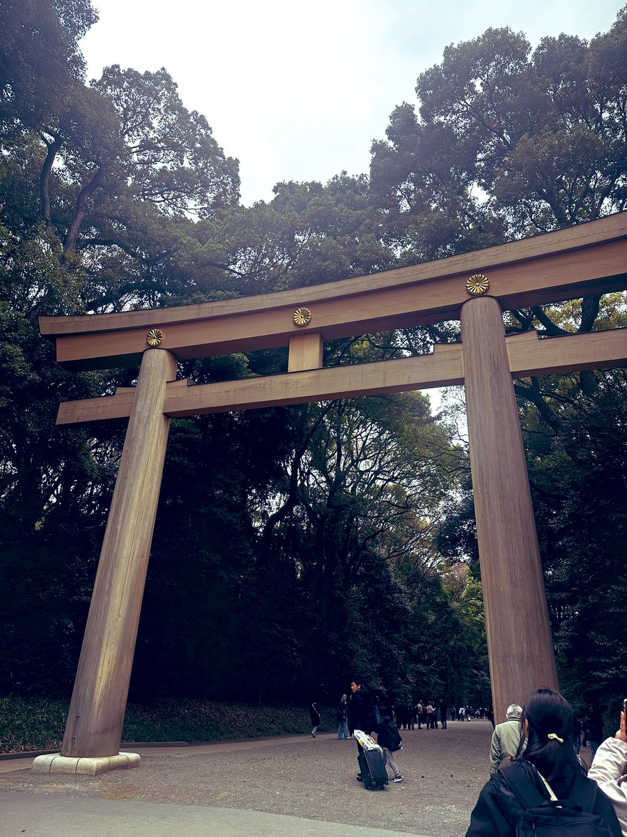 木元みき江 tweet media