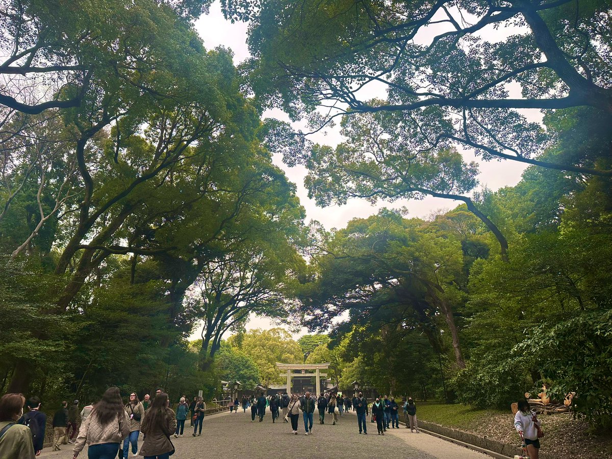 木元みき江 tweet media