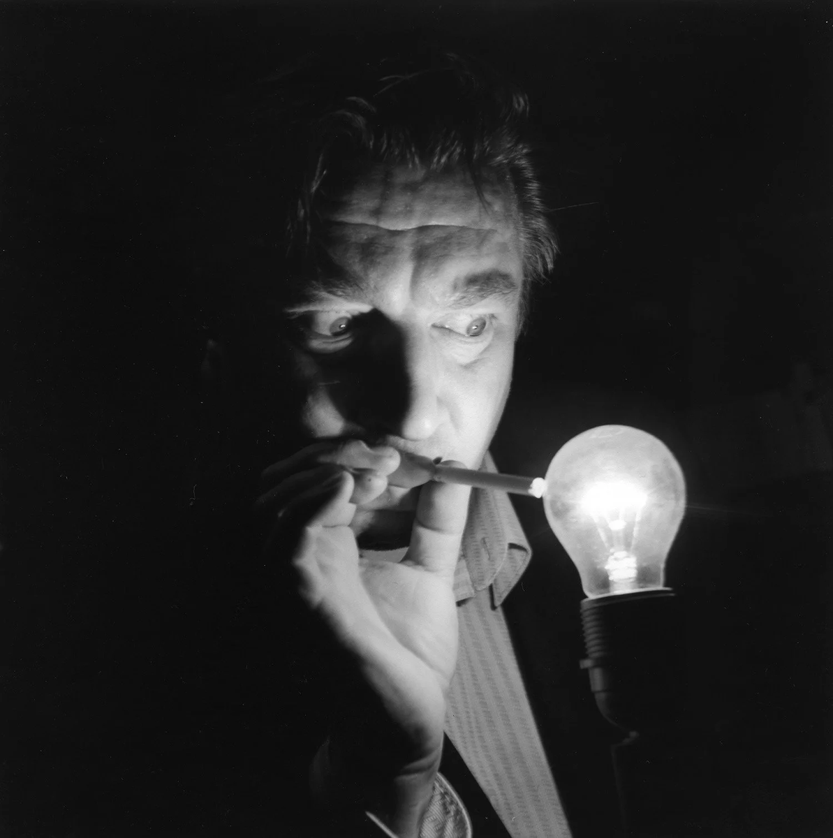 Distracted Film tweet media