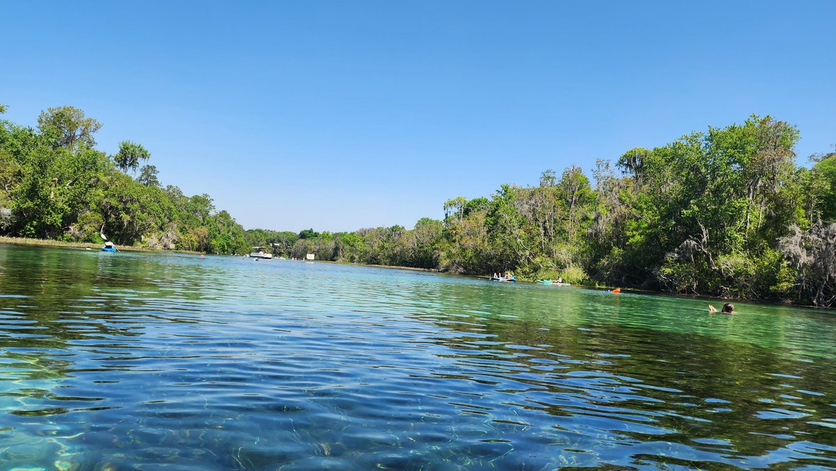 Apocalyzabeth tweet media