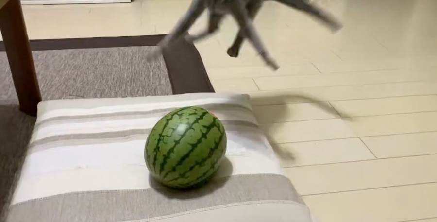 ライブドアニュース tweet media