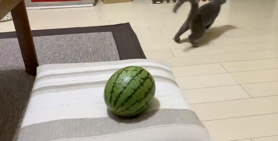 ライブドアニュース tweet media