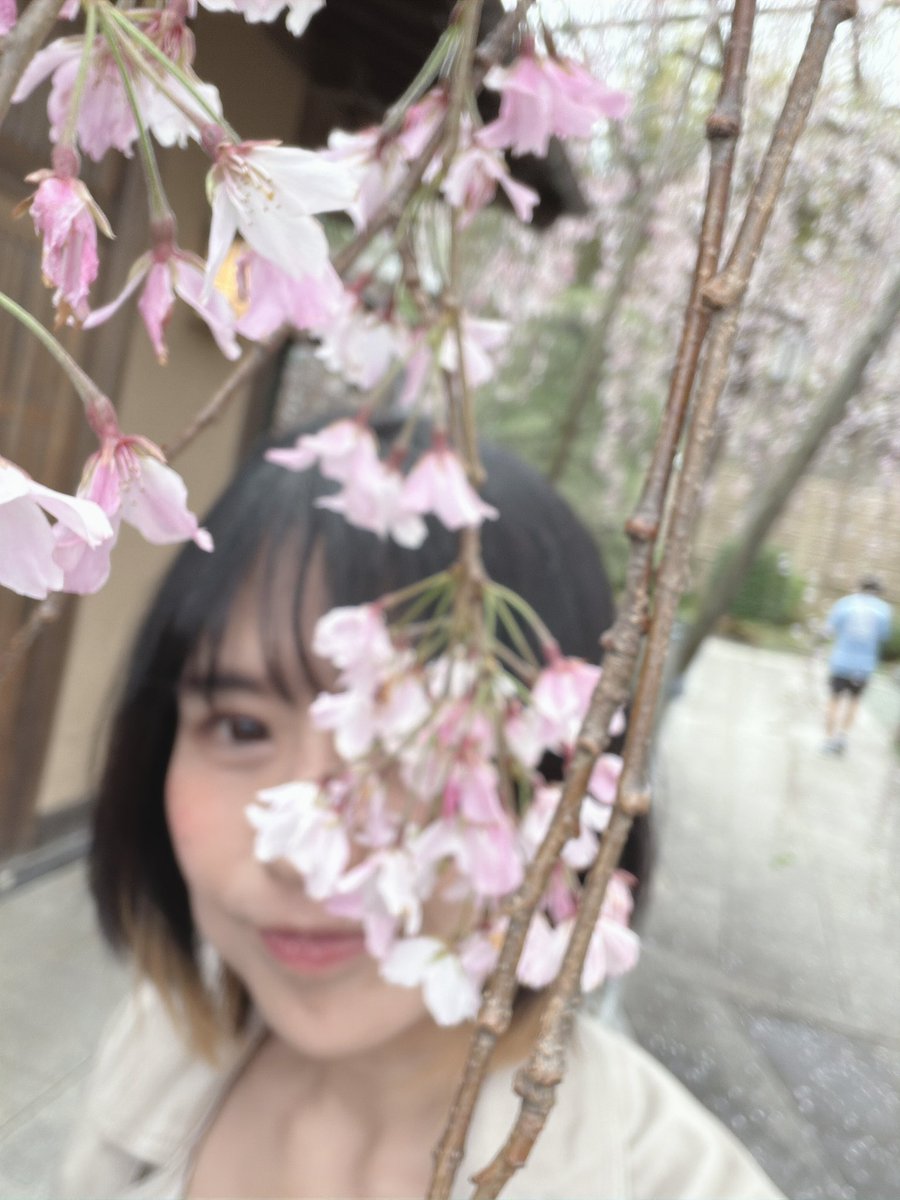 あびこめぐみ tweet media
