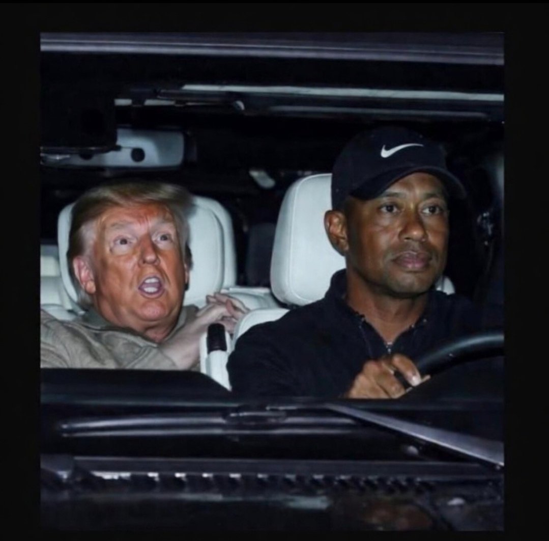 🇨🇦 Stoneys Hydroponix 🇨🇦 tweet media