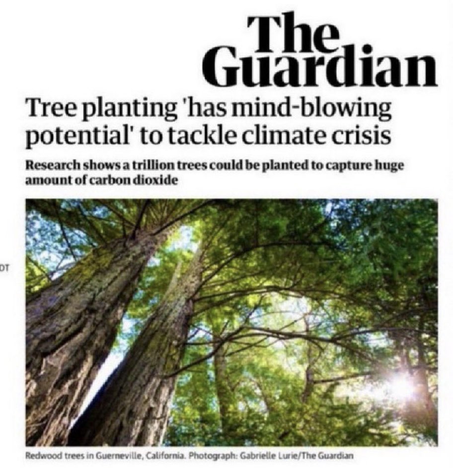 James Melville 🚜 tweet media