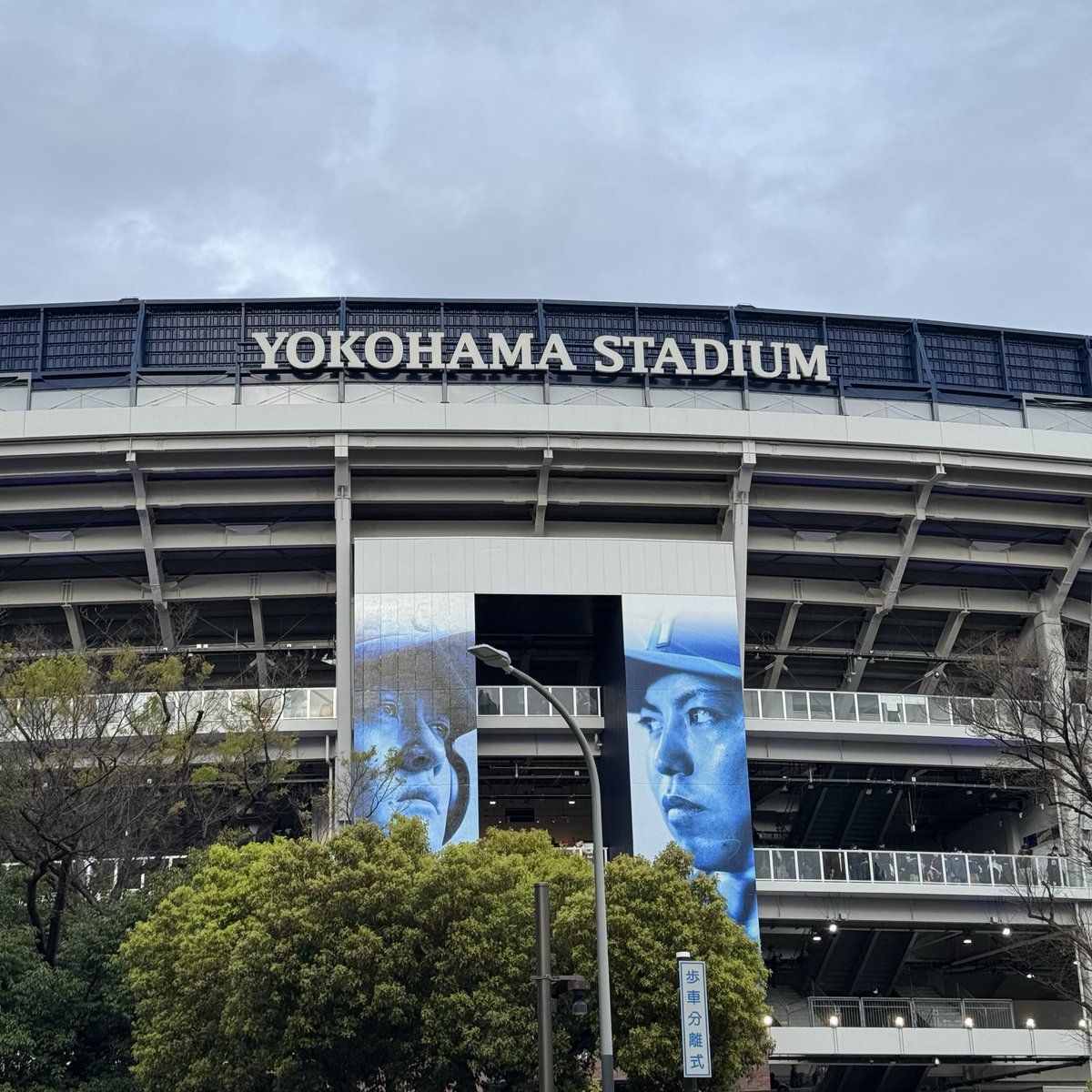 はるまさ🌸 tweet media