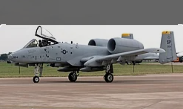 Gabriel Yerushalmi 🇮🇱 tweet media