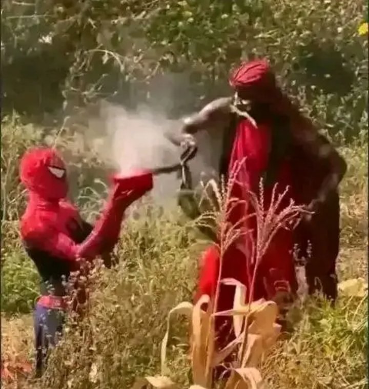 Bona King 👑 tweet media