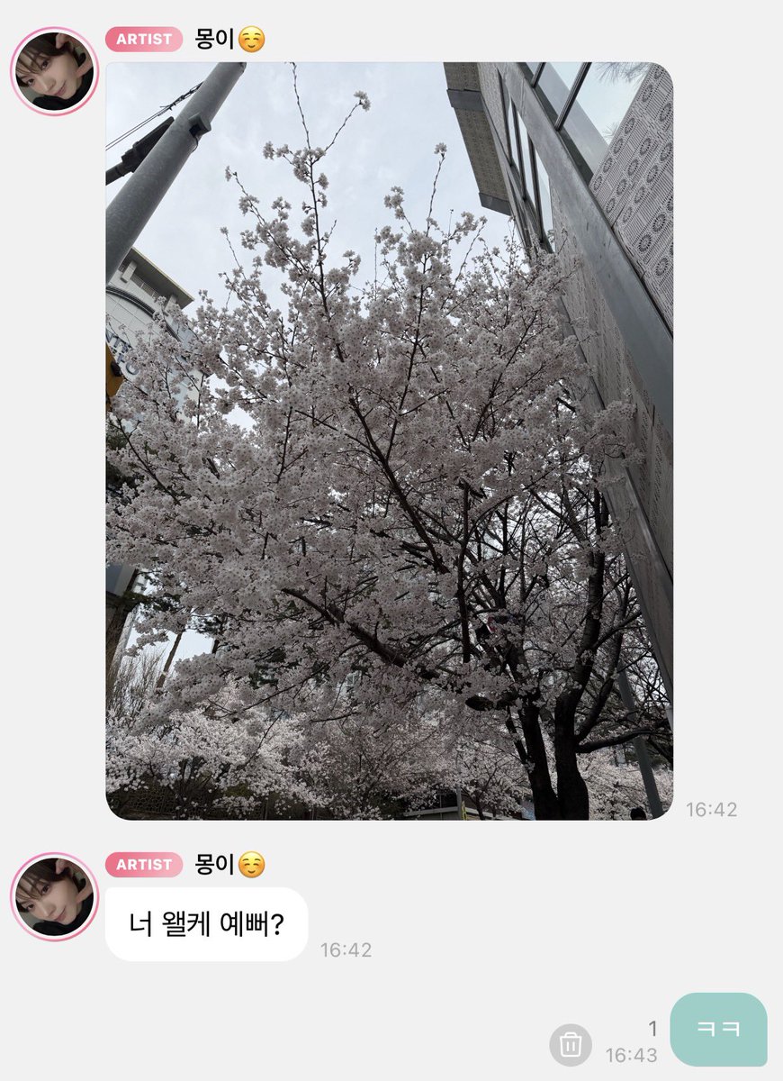 김..뭉망 tweet media