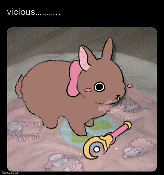 ♡ mia ♡ tweet media