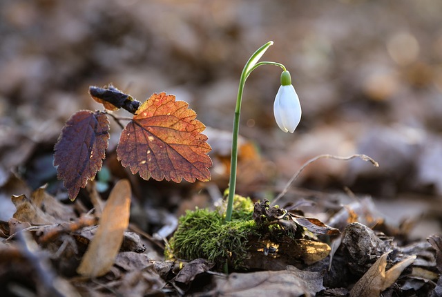 Loretta Wilson tweet media