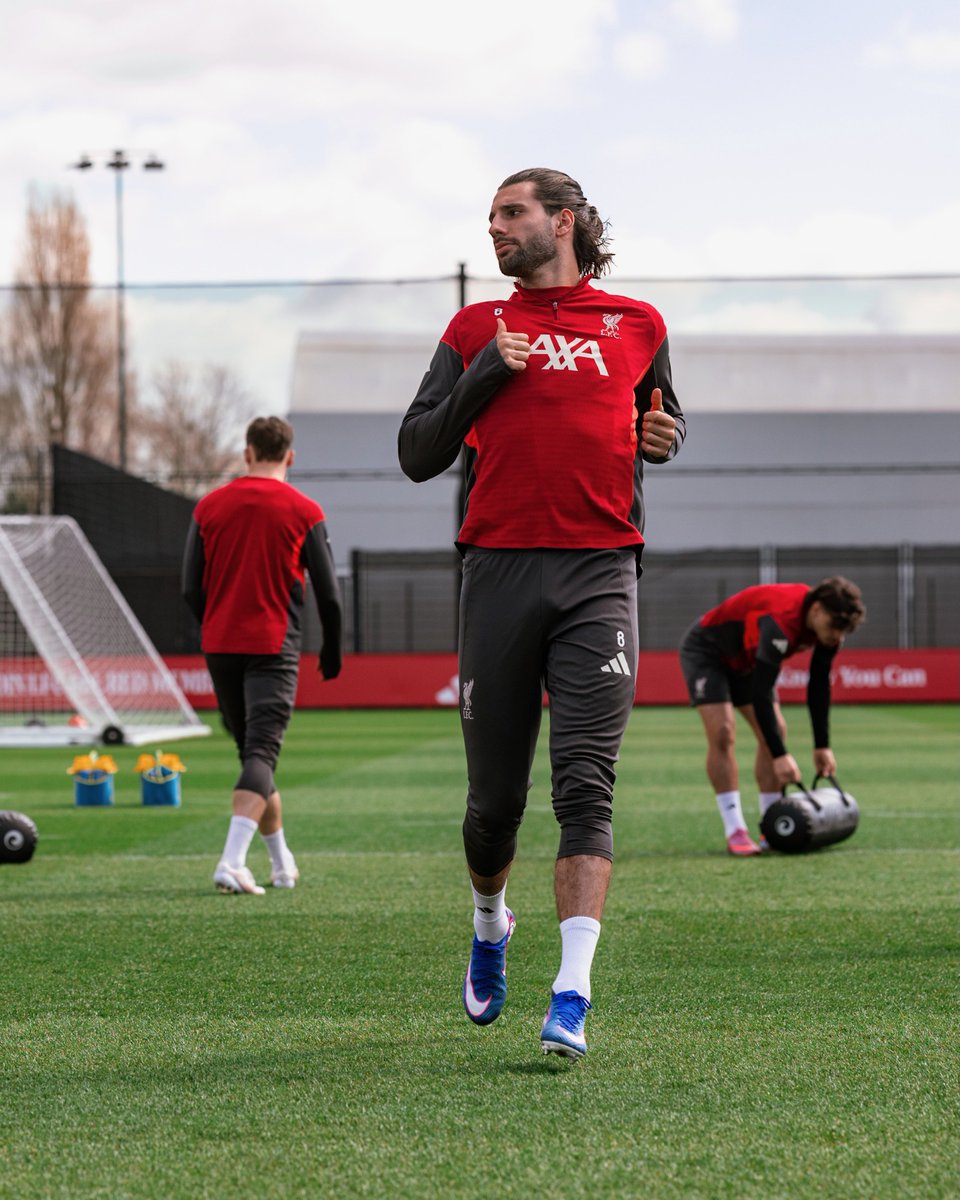 Dominik. (tfc) tweet media