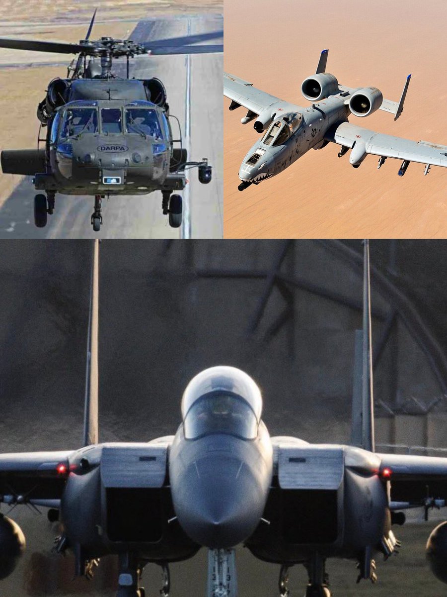 زینب tweet media