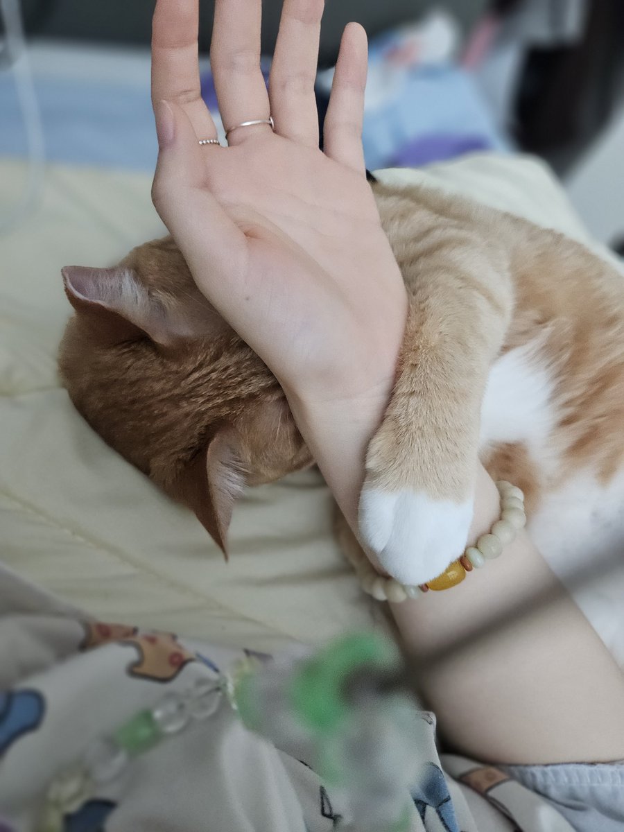 김동그랑땡 tweet media