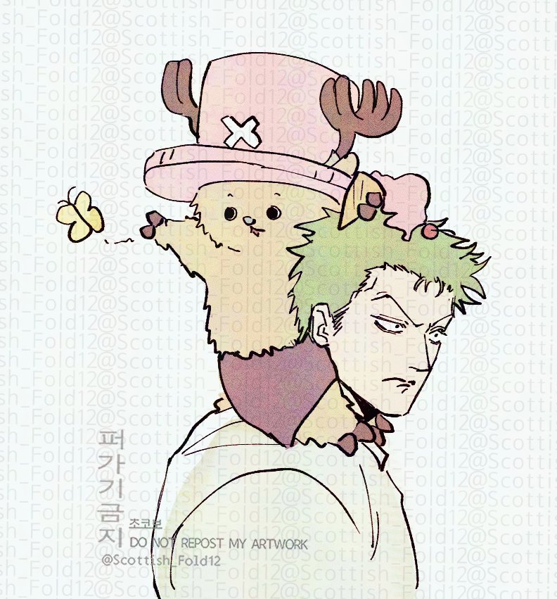 초코보🐤 tweet media