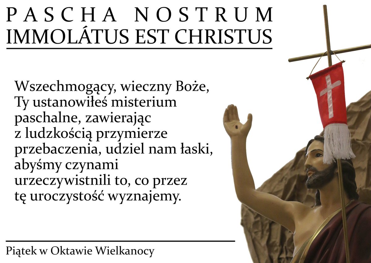 Msza Święta Trydencka tweet media