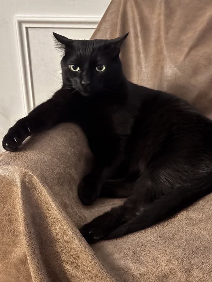 Sara Mary ⭐❤️ tweet media