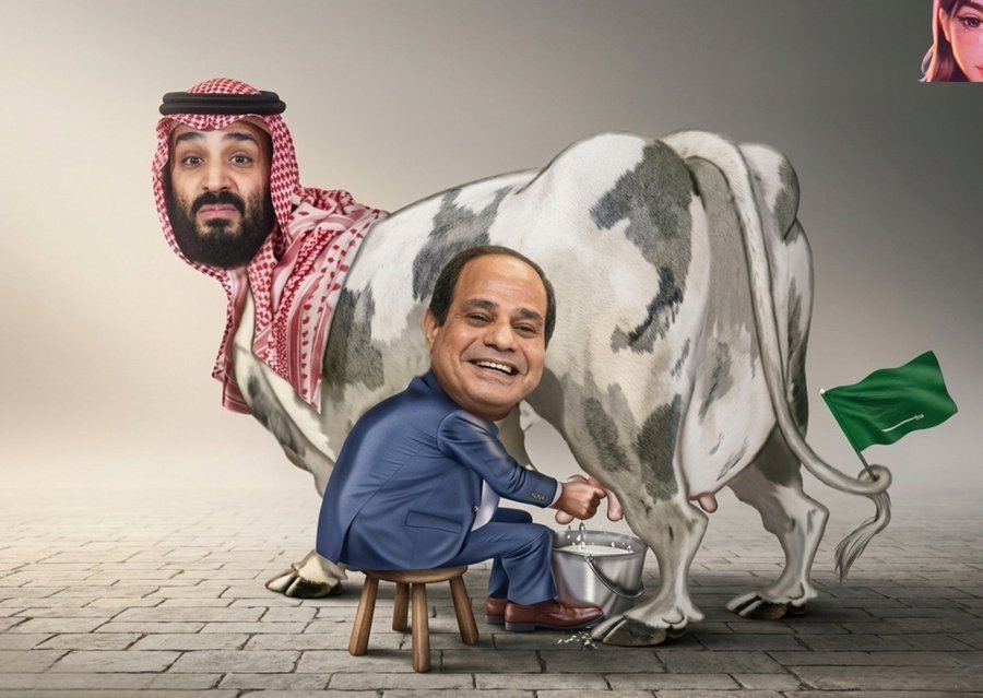 hader hassan tweet media