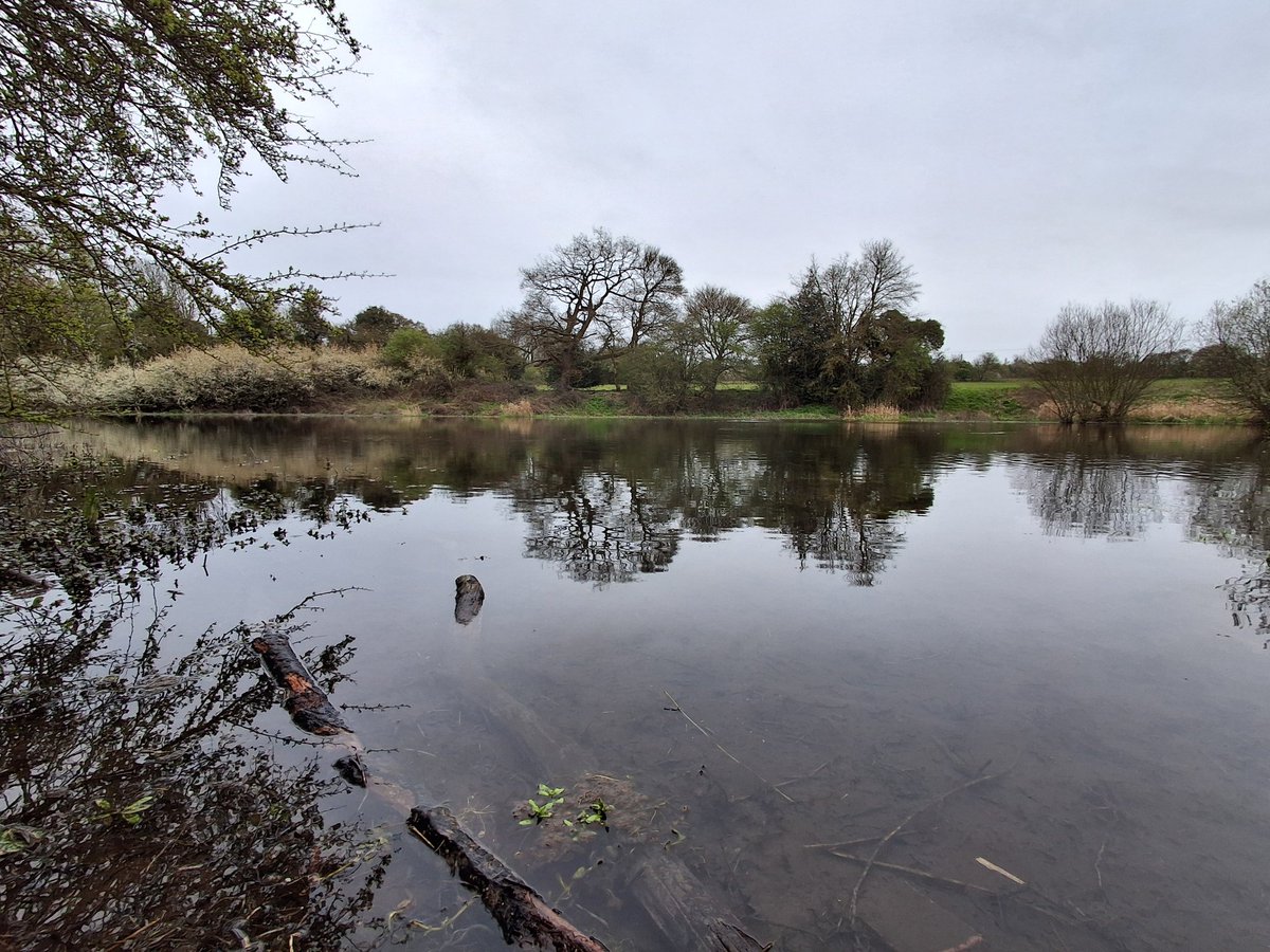 Cycling Trucker tweet media