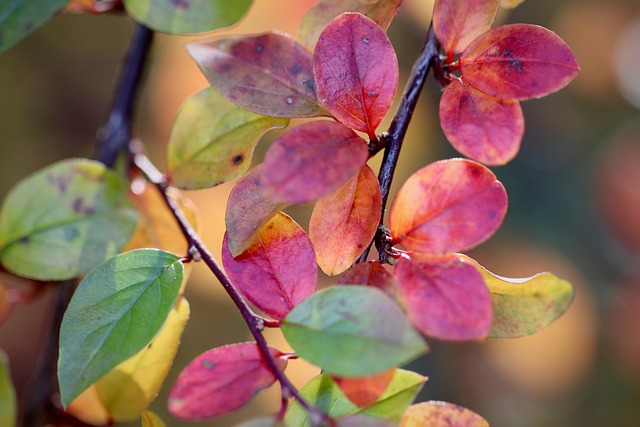 Rhoda Johnston tweet media