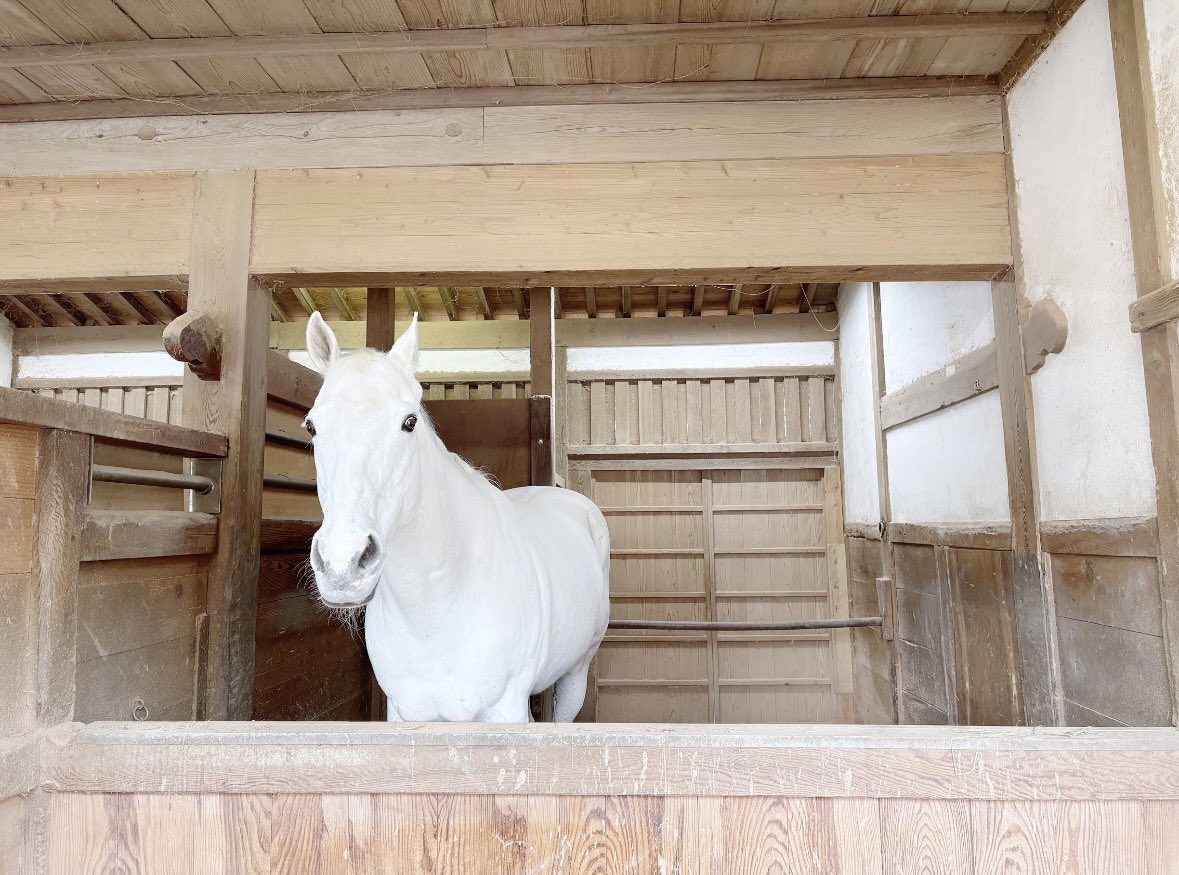 ʏᴋᴀ tweet media