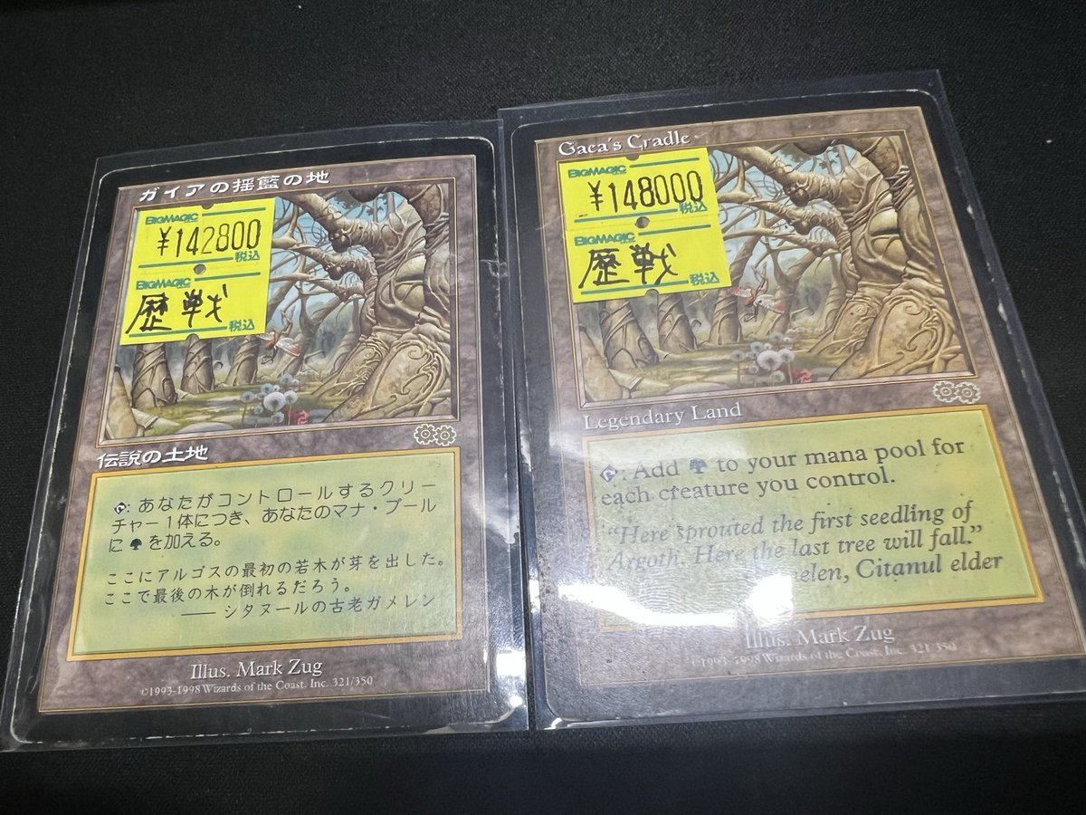 せんやう BIGMAGIC 秋葉原店 on X: 