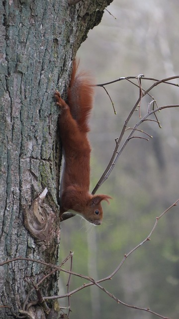 Lloyd Robinson tweet media