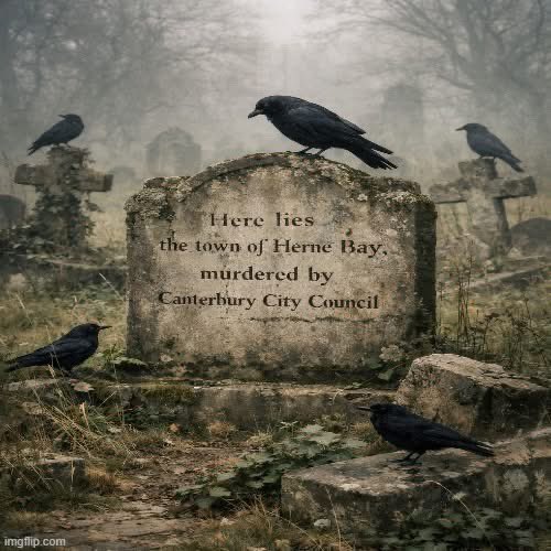 Claudia Bryan tweet media