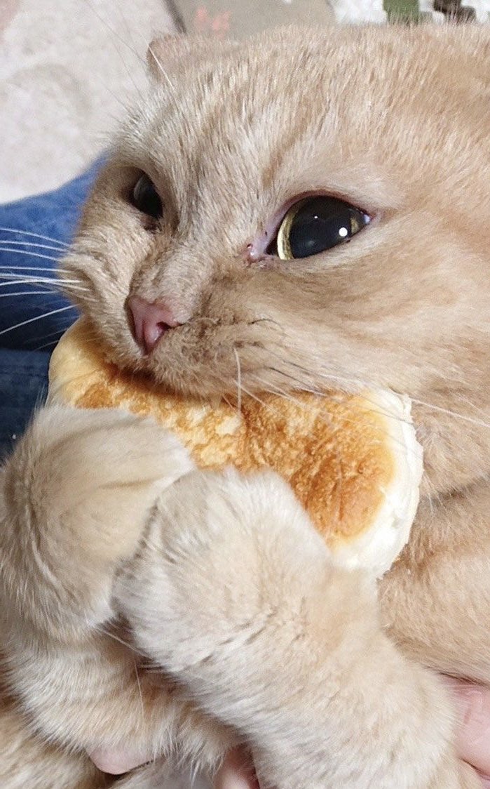 martin’s silly hair tweet media