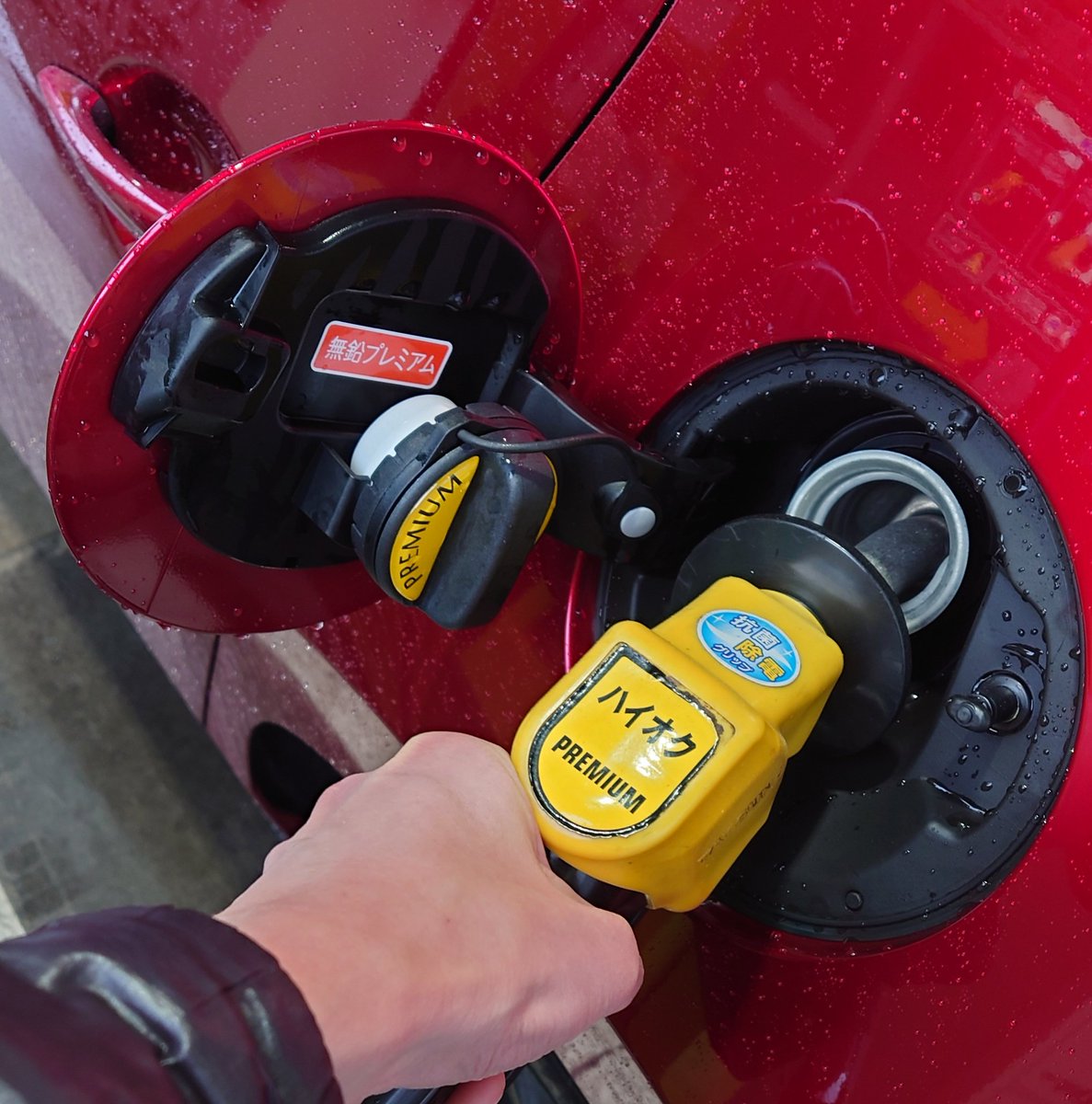 Vivid🌺 tweet media