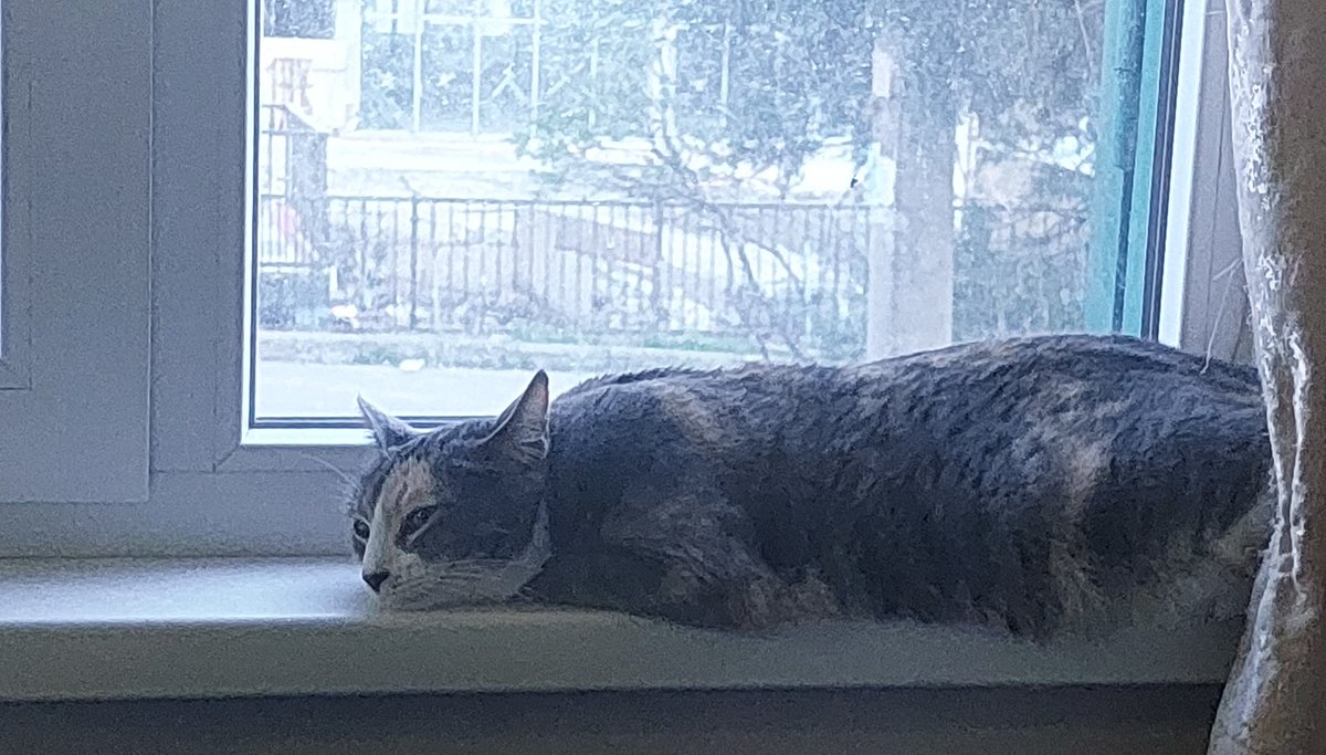 dosogy (lain obsession era) tweet media