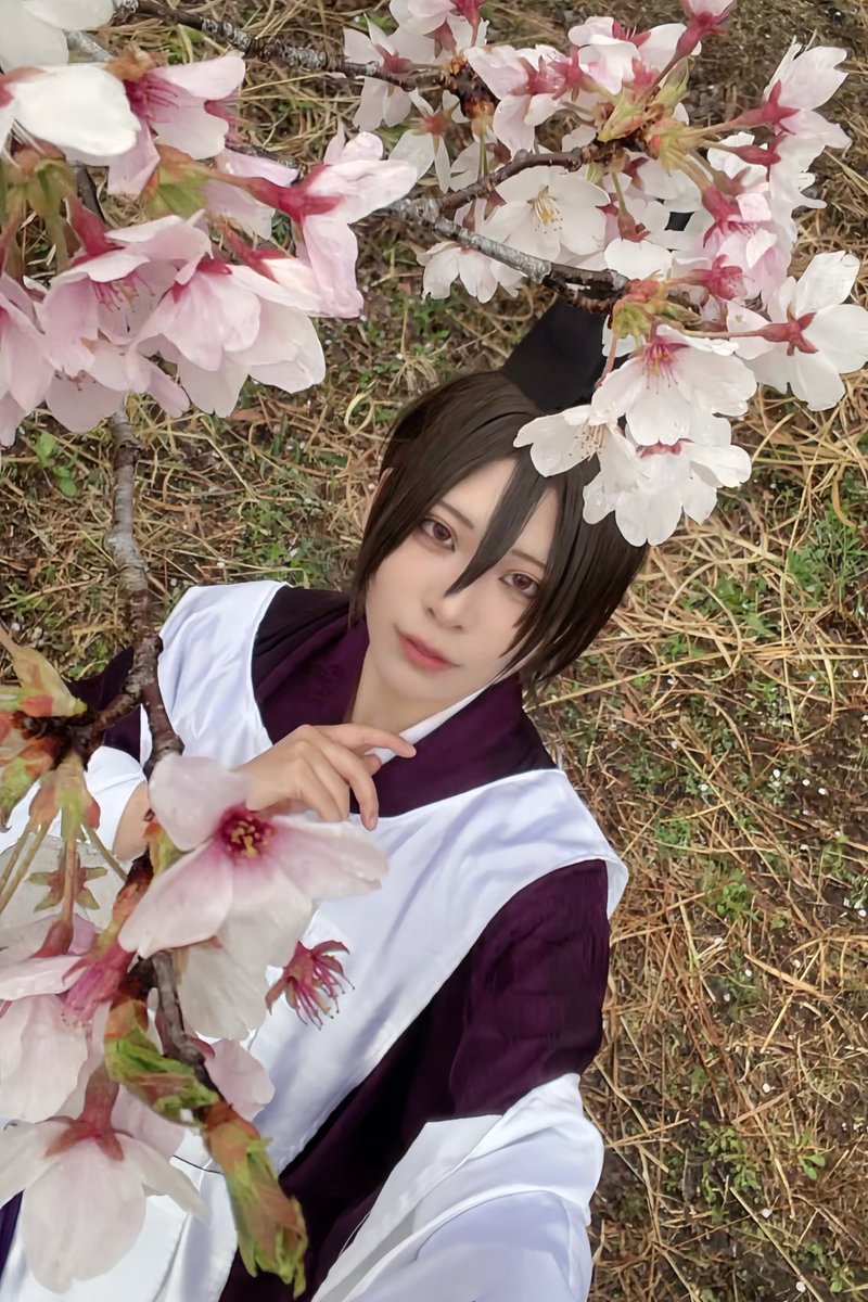 佐倉@4/5a! tweet media