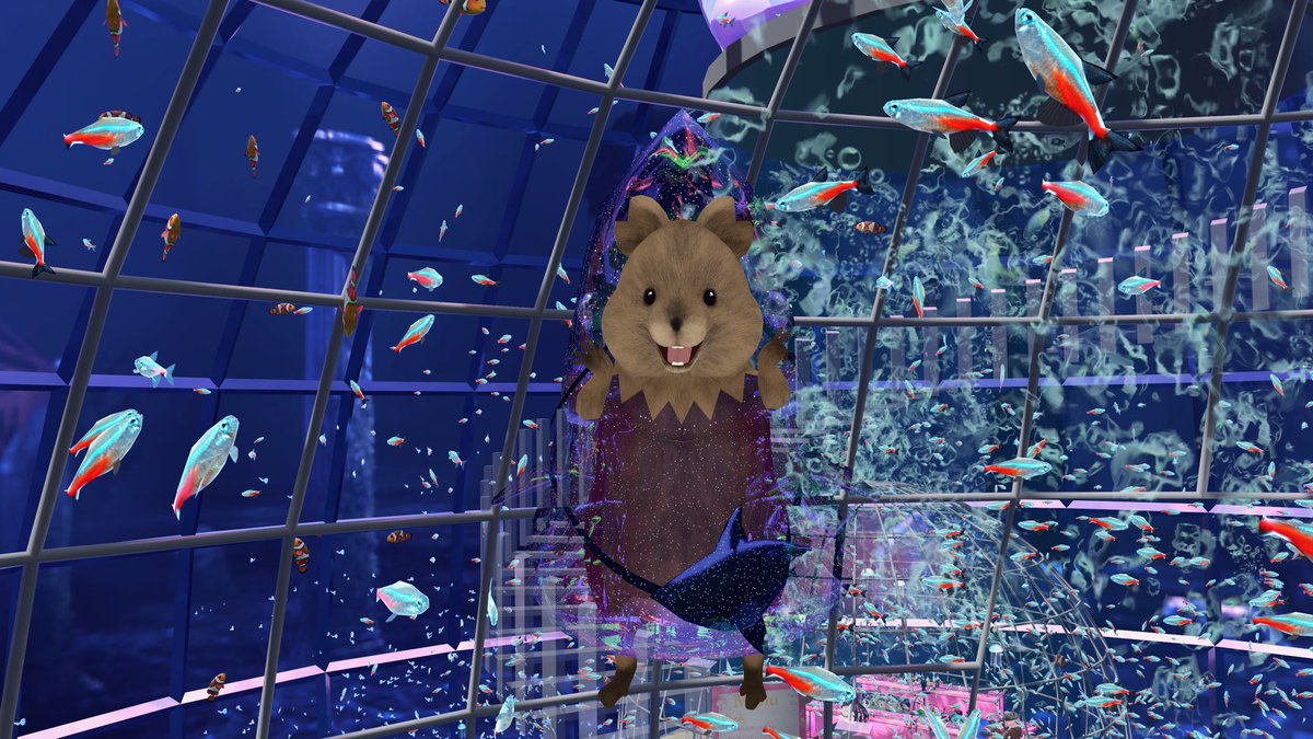 いちぼし tweet media