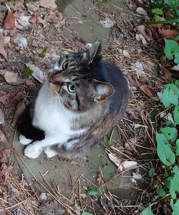 渡邉 守 tweet media