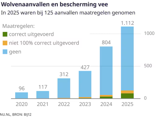 Disputax's tweet photo. 'Verreweg de meeste schapen die door de #wolf zijn aangevallen waren slecht beschermd'.
De meeste schapen staan niet achter een wolfwerend hek en vormen dus een lopend buffet.
Want veehouders houden heel erg van hun dieren.
https://t.co/K3zJaXyUTW https://t.co/JGAI5C57UN
