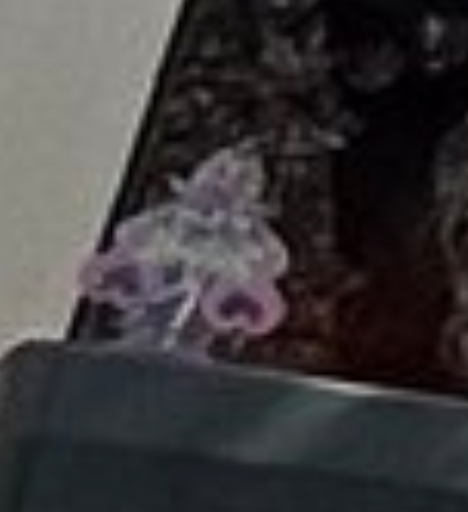 市藤勇美 tweet media