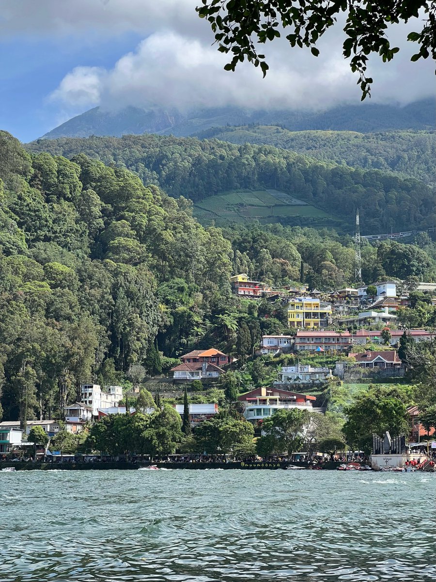 むーも tweet media