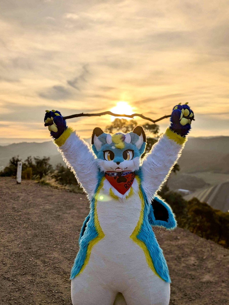 ドラスキ tweet media