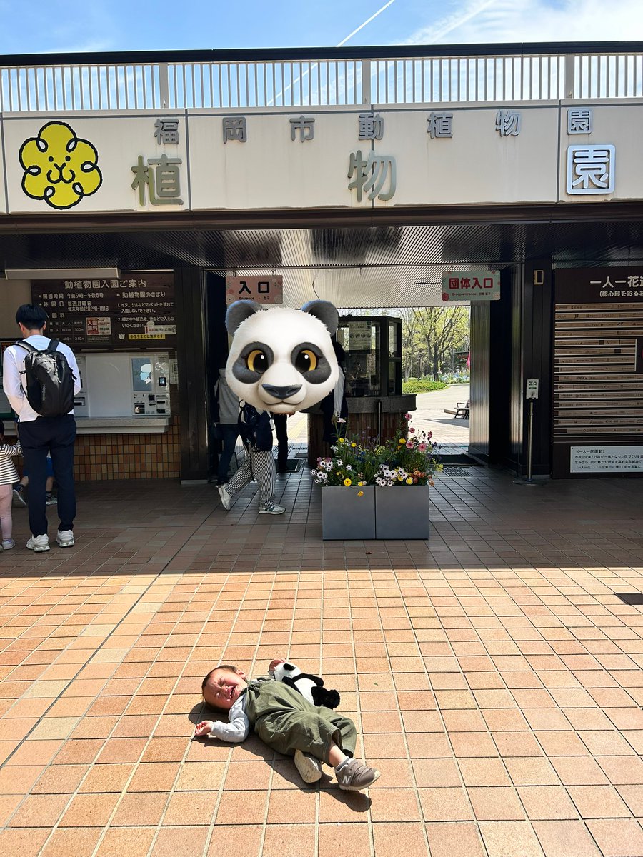 ぞうさんさーん🐘♡とやる気満々で出かけたと思ったら、歩きたくなーい😭イヤイヤイヤイヤTimeやった🤣
基本の寝転びイヤイヤ🐥