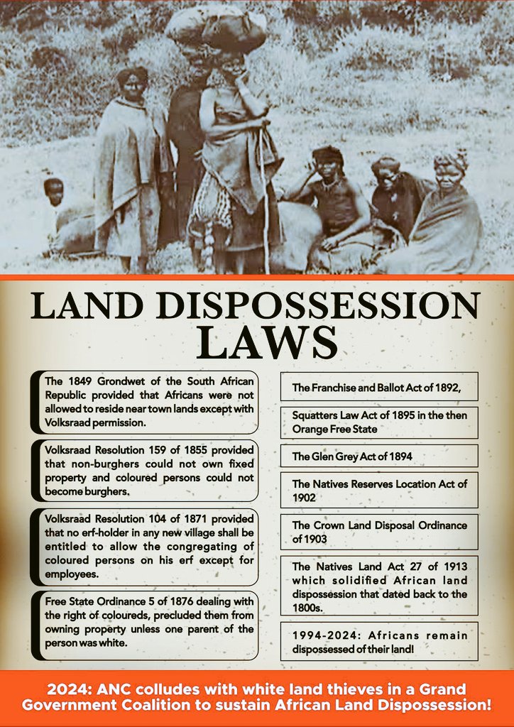 Radical_Nas tweet media