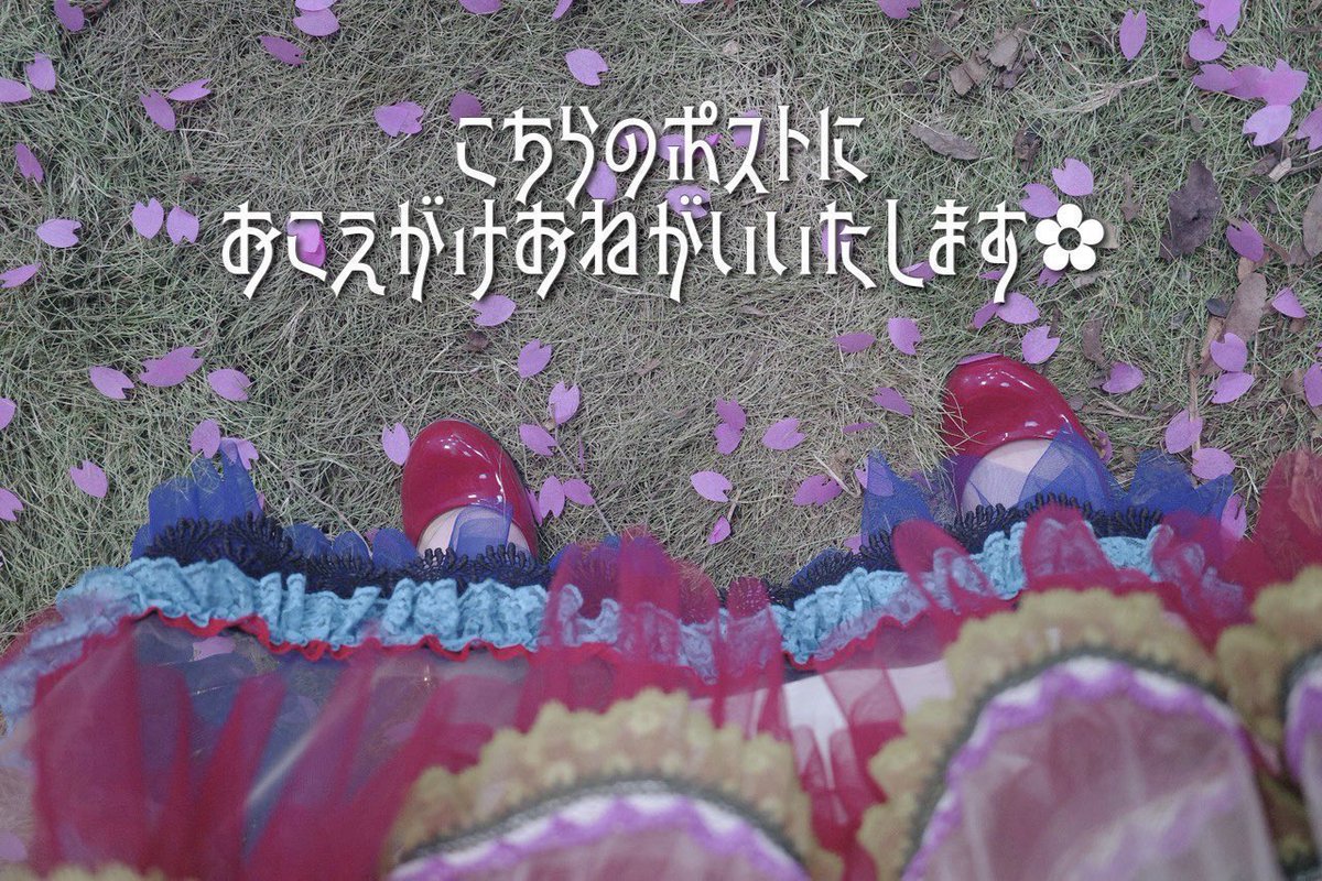 陽 @初回様リトリン必読 tweet media