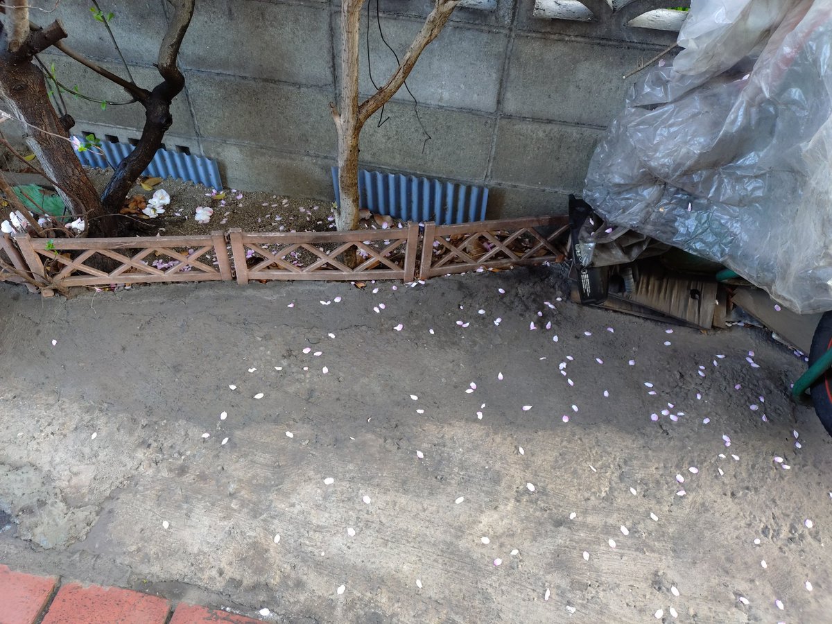 長浜　宏充 tweet media