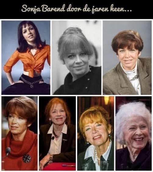 Swiebertje Pan tweet media