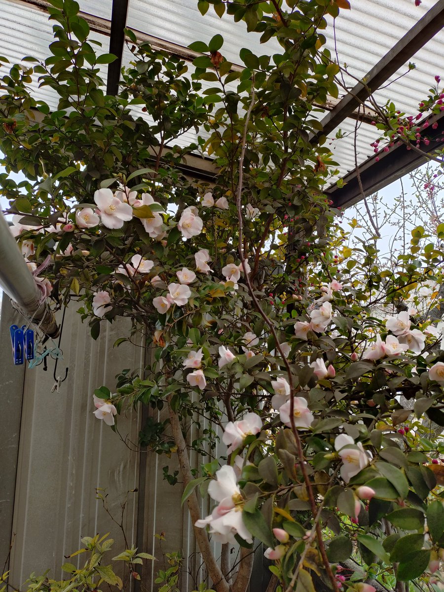 長浜　宏充 tweet media